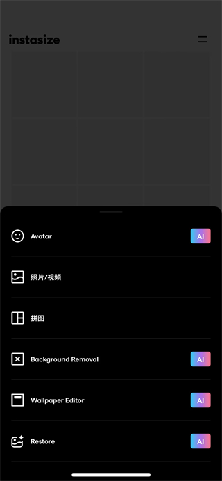 Instasize软件