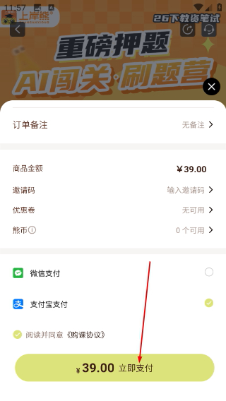 上岸熊