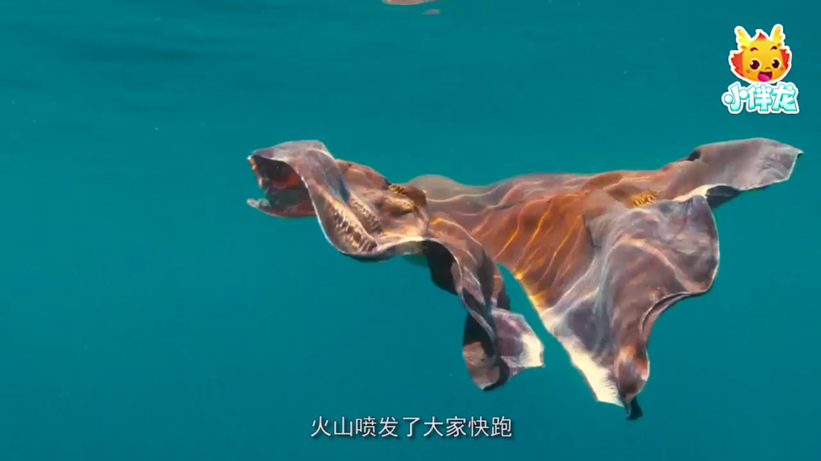 小伴龙海洋世界