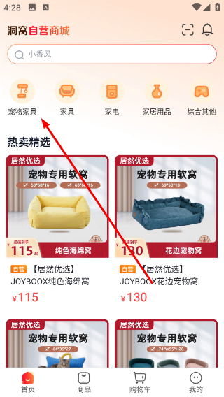 洞窝