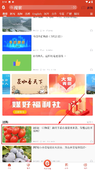 世界青田