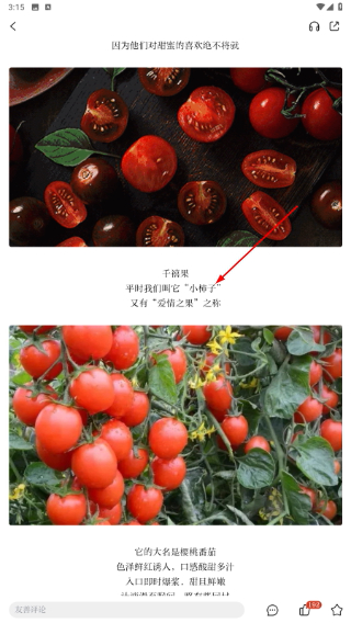 世界青田