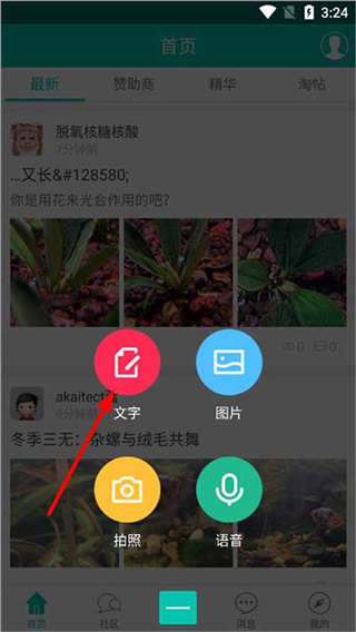 南美水族论坛