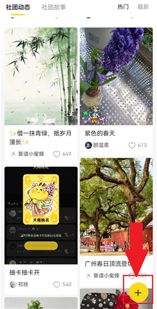 网易小蜜蜂