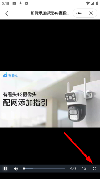 有看头