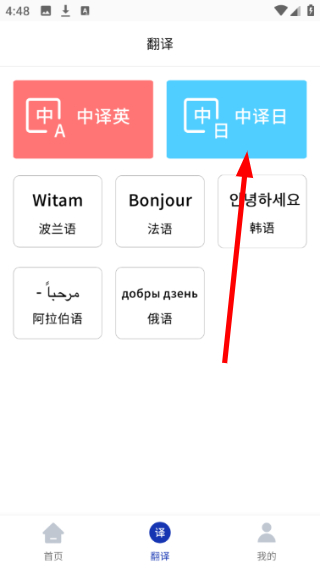 小语种翻译