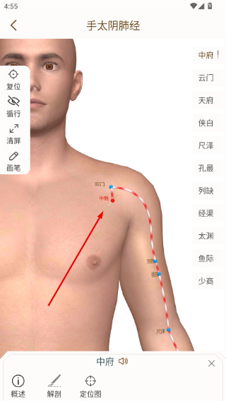 易学中医