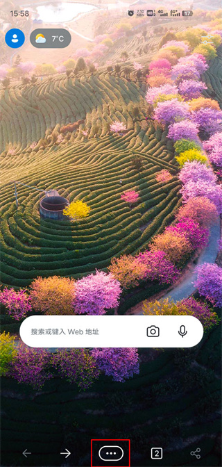 edge微软浏览器