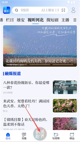 冀时新闻