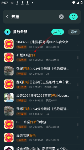 dj串烧集