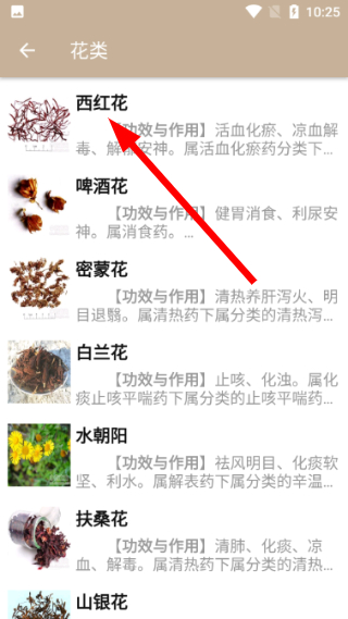 中草药宝典