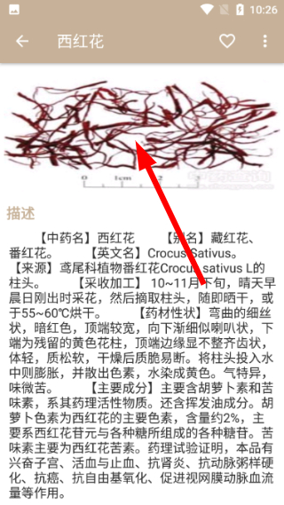 中草药宝典