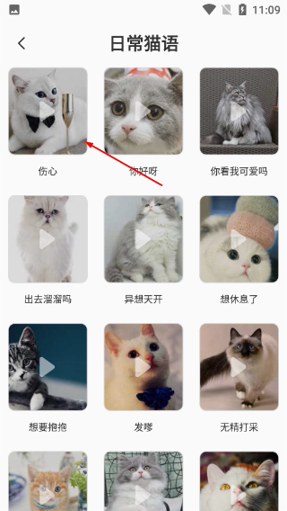 猫语翻译机