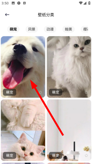 鹿优选