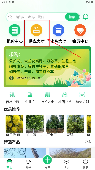 园林