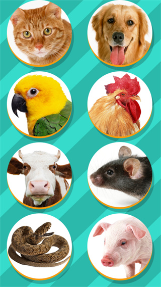 Pet Translator