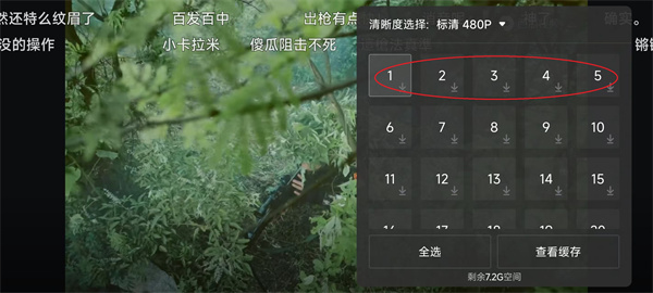 西瓜视频app手机版