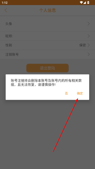 Roadcam行车记录仪