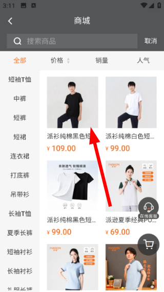 派逊通