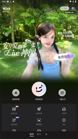 Wink软件