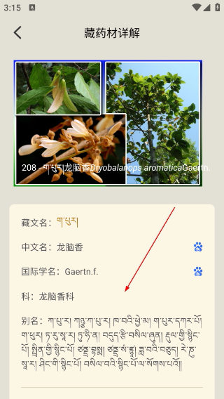 藏药晶镜本草