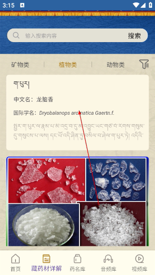 藏药晶镜本草