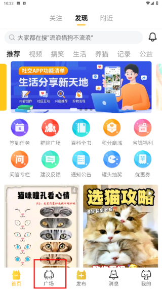 友猫