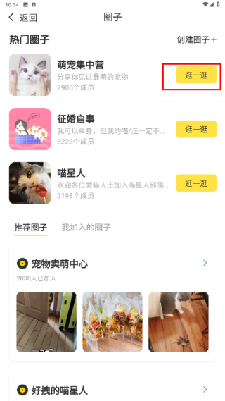 友猫