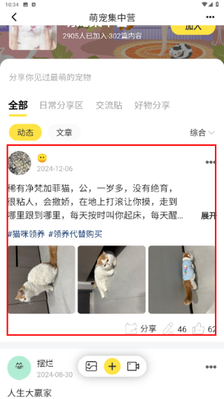 友猫