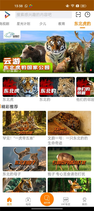 吉智视频官网