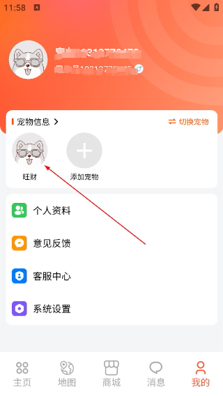 宠悦悦正版