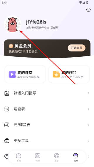 羊驼韩语网课