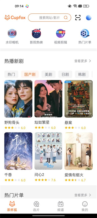茶杯狐官方官网