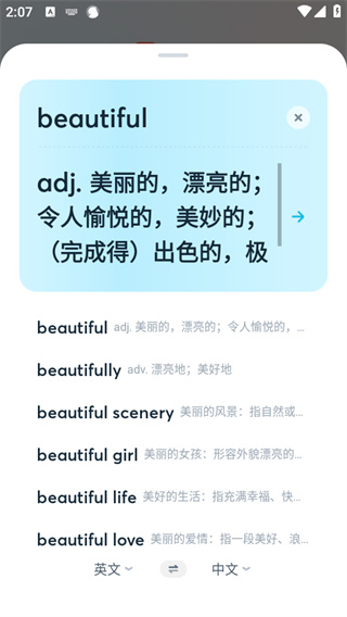 有道翻译官软件