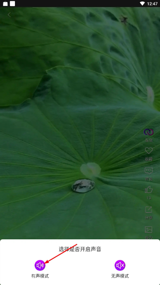 炫彩壁纸秀