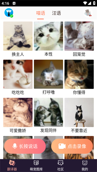 猫语翻译器