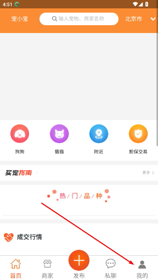宠小宝