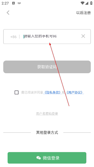 熊猫滑雪