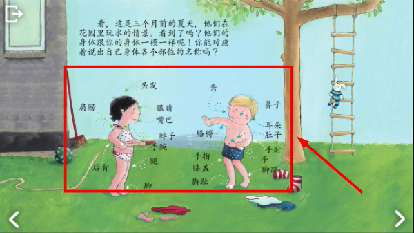 可爱的身体
