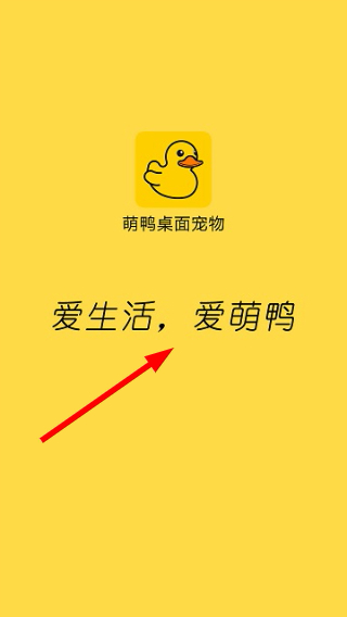萌鸭
