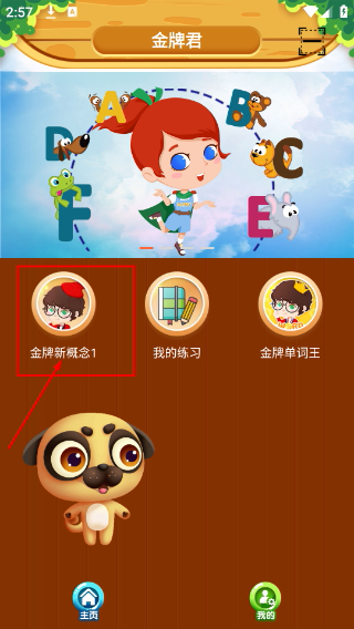 金牌君新概念英语