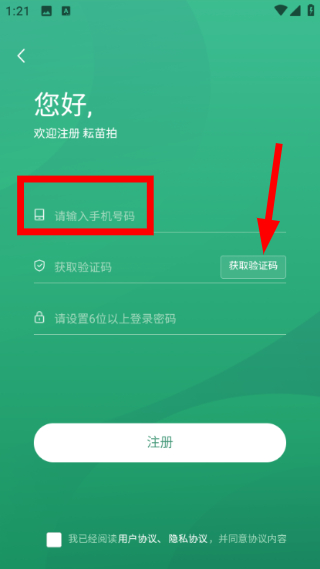 耘苗拍